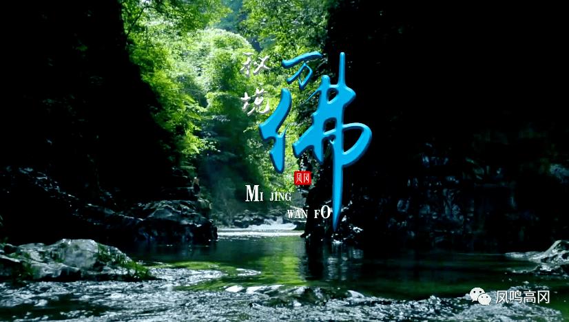 《五哈》迎来最美女嘉宾孔雪儿，刚上线就被“老狐狸”邓超忽悠